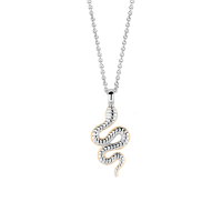 Náhrdelník TI SENTO s hadím vzorom 3923SY