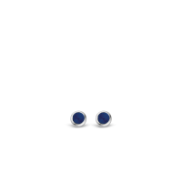 Náušnice TI SENTO s modrým kameňom 7597BL